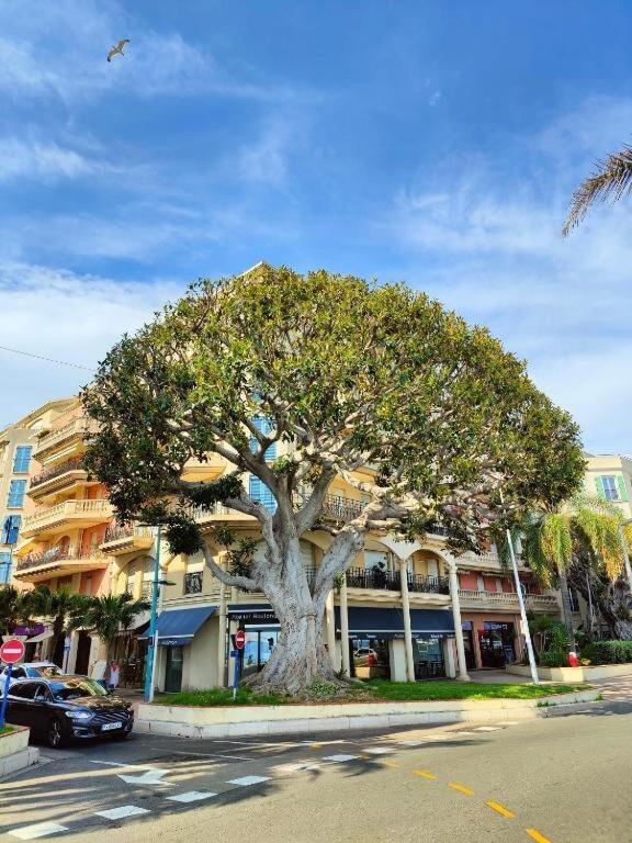 Le Coq Bleu D'Azur - Piscine - Parking! Apartment Menton Exterior photo
